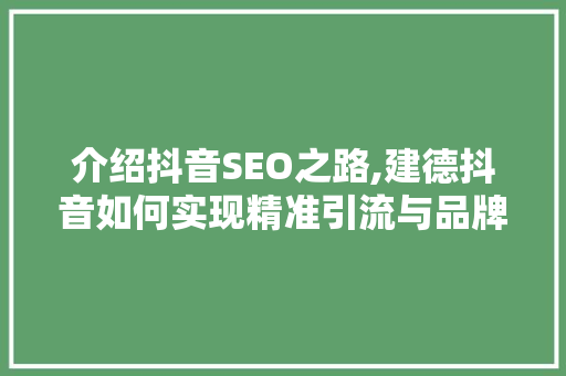 介绍抖音SEO之路,建德抖音如何实现精准引流与品牌崛起
