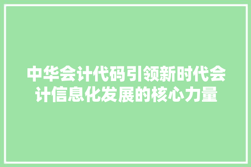 中华会计代码引领新时代会计信息化发展的核心力量
