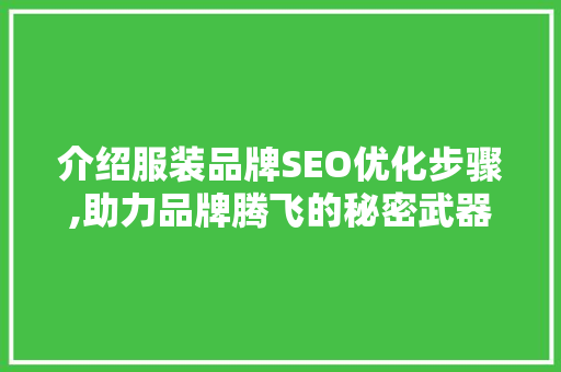 介绍服装品牌SEO优化步骤,助力品牌腾飞的秘密武器