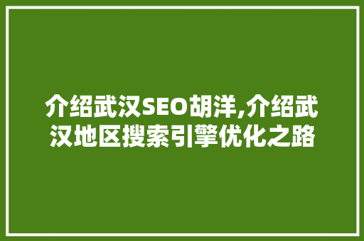 介绍武汉SEO胡洋,介绍武汉地区搜索引擎优化之路