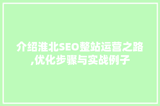 介绍淮北SEO整站运营之路,优化步骤与实战例子