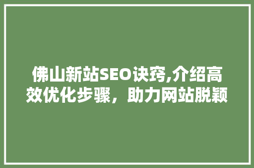 佛山新站SEO诀窍,介绍高效优化步骤，助力网站脱颖而出