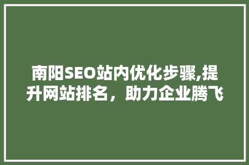 南阳SEO站内优化步骤,提升网站排名，助力企业腾飞