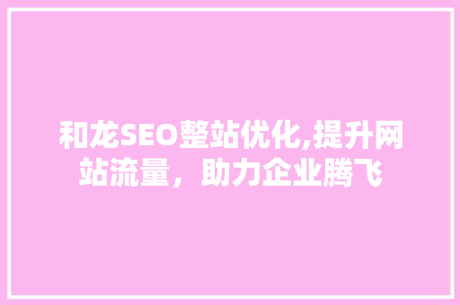 和龙SEO整站优化,提升网站流量，助力企业腾飞