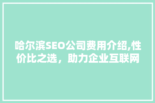 哈尔滨SEO公司费用介绍,性价比之选，助力企业互联网营销