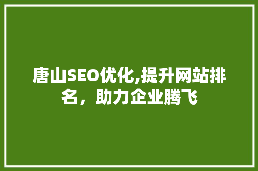 唐山SEO优化,提升网站排名，助力企业腾飞
