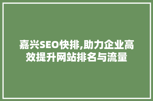 嘉兴SEO快排,助力企业高效提升网站排名与流量