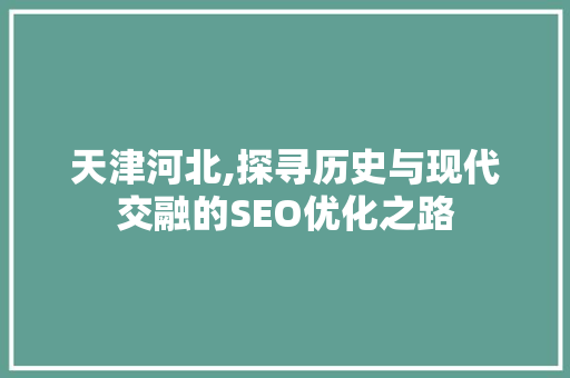 天津河北,探寻历史与现代交融的SEO优化之路  第1张