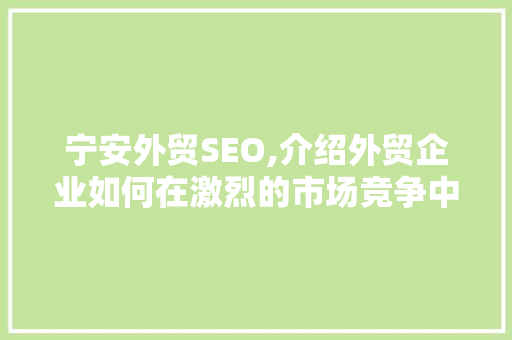宁安外贸SEO,介绍外贸企业如何在激烈的市场竞争中脱颖而出