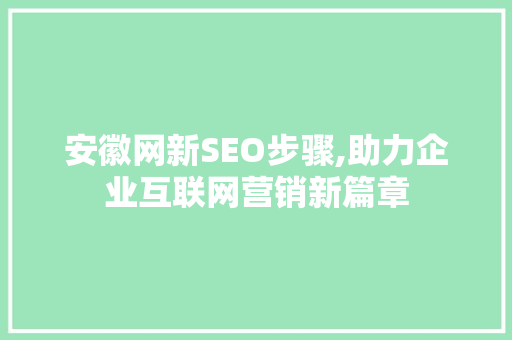 安徽网新SEO步骤,助力企业互联网营销新篇章