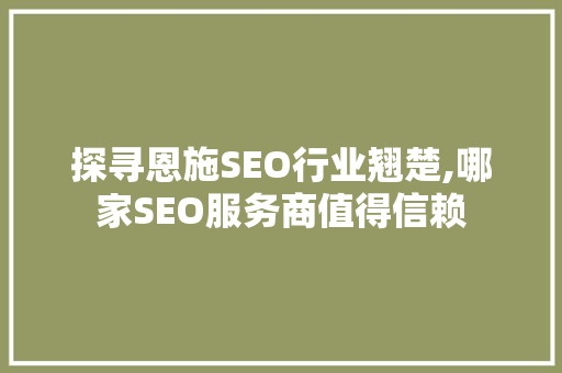 探寻恩施SEO行业翘楚,哪家SEO服务商值得信赖