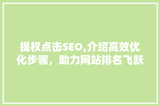 提权点击SEO,介绍高效优化步骤，助力网站排名飞跃