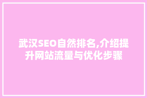 武汉SEO自然排名,介绍提升网站流量与优化步骤