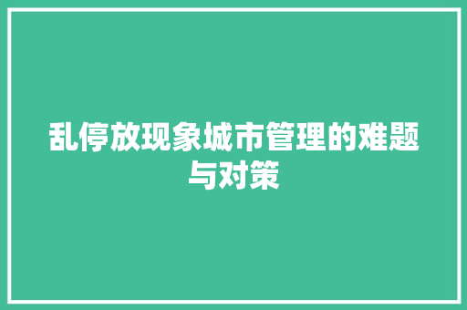 乱停放现象城市管理的难题与对策