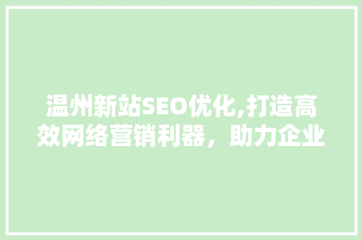 温州新站SEO优化,打造高效网络营销利器，助力企业腾飞