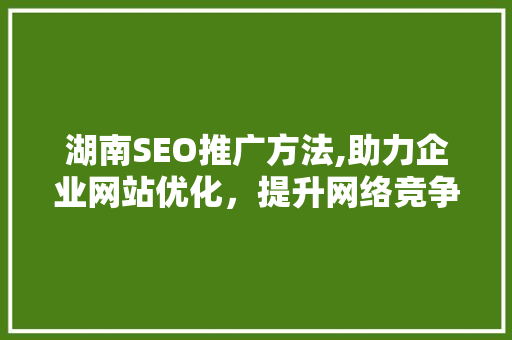 湖南SEO推广方法,助力企业网站优化，提升网络竞争力