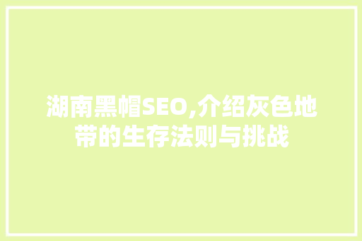 湖南黑帽SEO,介绍灰色地带的生存法则与挑战