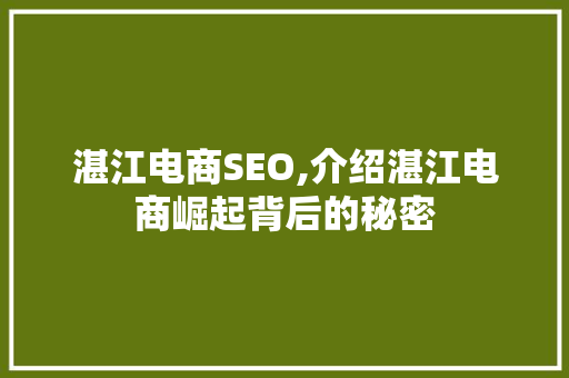 湛江电商SEO,介绍湛江电商崛起背后的秘密
