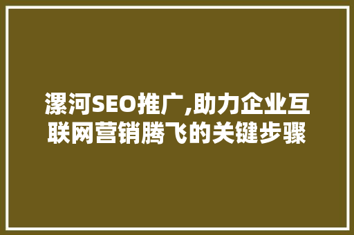 漯河SEO推广,助力企业互联网营销腾飞的关键步骤