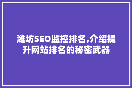 潍坊SEO监控排名,介绍提升网站排名的秘密武器