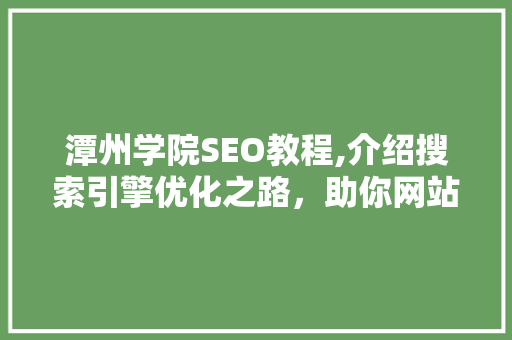 潭州学院SEO教程,介绍搜索引擎优化之路，助你网站排名起飞！