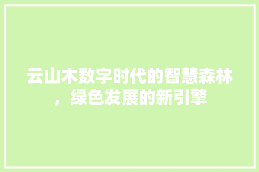 云山木数字时代的智慧森林，绿色发展的新引擎