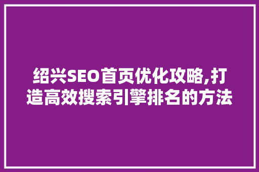 绍兴SEO首页优化攻略,打造高效搜索引擎排名的方法