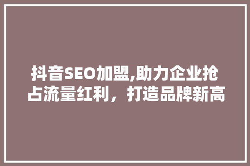 抖音SEO加盟,助力企业抢占流量红利，打造品牌新高度