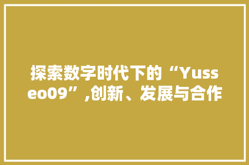 探索数字时代下的“Yusseo09”,创新、发展与合作的力量