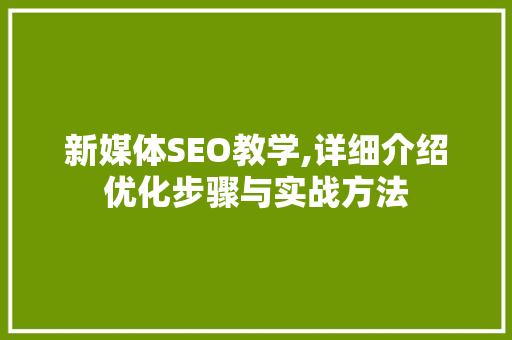 新媒体SEO教学,详细介绍优化步骤与实战方法