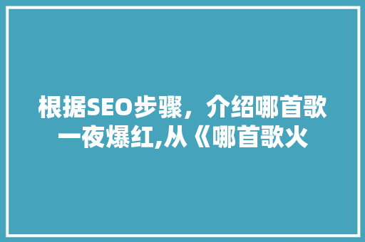 根据SEO步骤，介绍哪首歌一夜爆红,从《哪首歌火