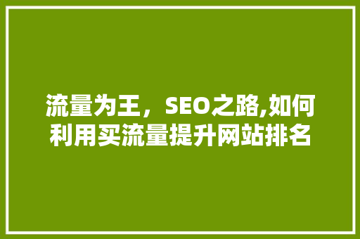 流量为王，SEO之路,如何利用买流量提升网站排名