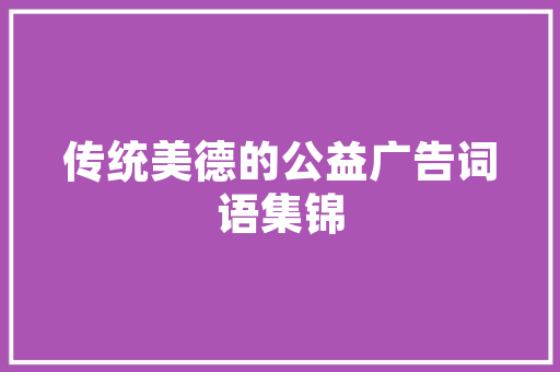 深圳SEO优化,助力企业抢占网络市场制高点  第1张