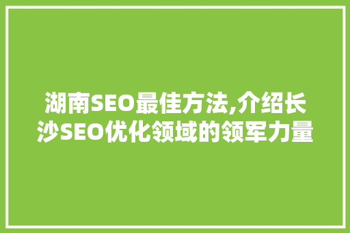 湖南SEO最佳方法,介绍长沙SEO优化领域的领军力量