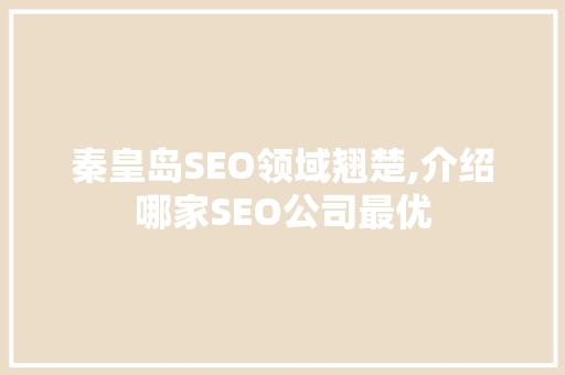 秦皇岛SEO领域翘楚,介绍哪家SEO公司最优