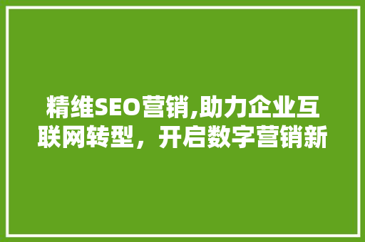精维SEO营销,助力企业互联网转型，开启数字营销新时代