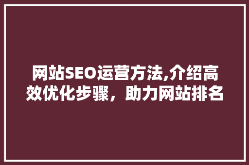 网站SEO运营方法,介绍高效优化步骤，助力网站排名攀升