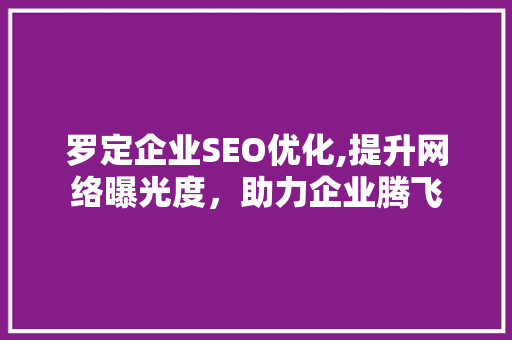 罗定企业SEO优化,提升网络曝光度，助力企业腾飞