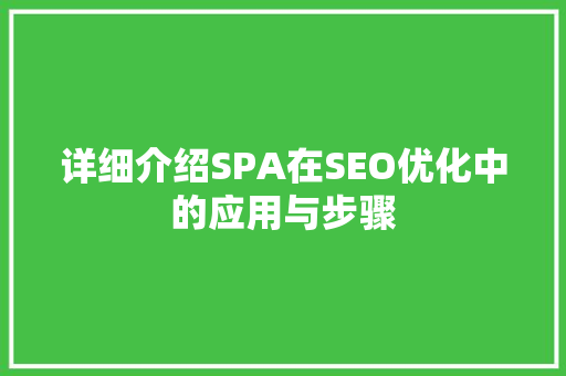 详细介绍SPA在SEO优化中的应用与步骤