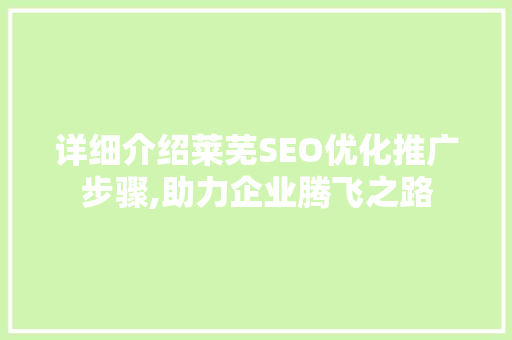 详细介绍莱芜SEO优化推广步骤,助力企业腾飞之路