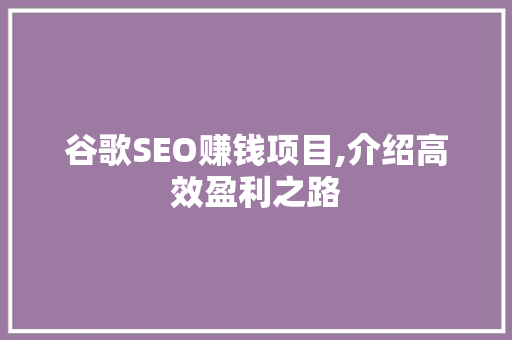 谷歌SEO赚钱项目,介绍高效盈利之路