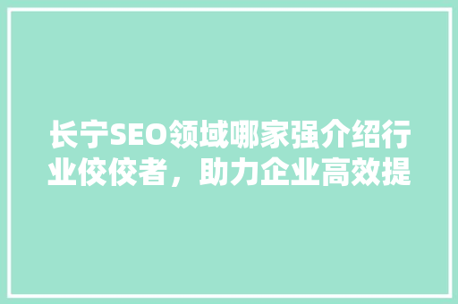 长宁SEO领域哪家强介绍行业佼佼者，助力企业高效提升在线影响力