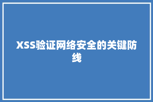 XSS验证网络安全的关键防线