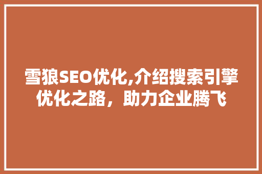 雪狼SEO优化,介绍搜索引擎优化之路，助力企业腾飞