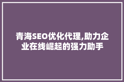 青海SEO优化代理,助力企业在线崛起的强力助手