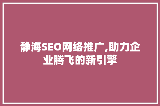 静海SEO网络推广,助力企业腾飞的新引擎