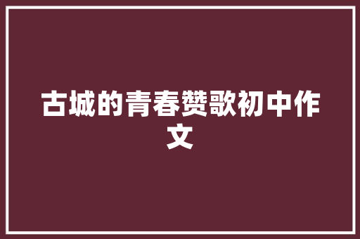 麦斯网络SEO,介绍高效关键词布局步骤，助力网站优化升级