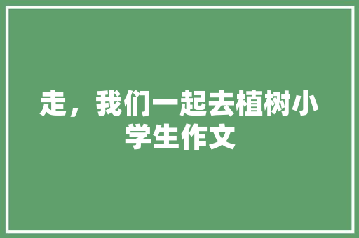 黄陂网站SEO优化步骤,提升网站排名，助力企业腾飞