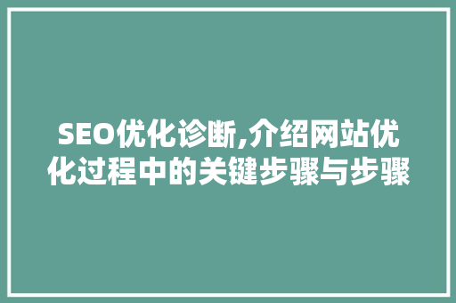 SEO优化诊断,介绍网站优化过程中的关键步骤与步骤