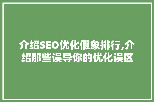 介绍SEO优化假象排行,介绍那些误导你的优化误区